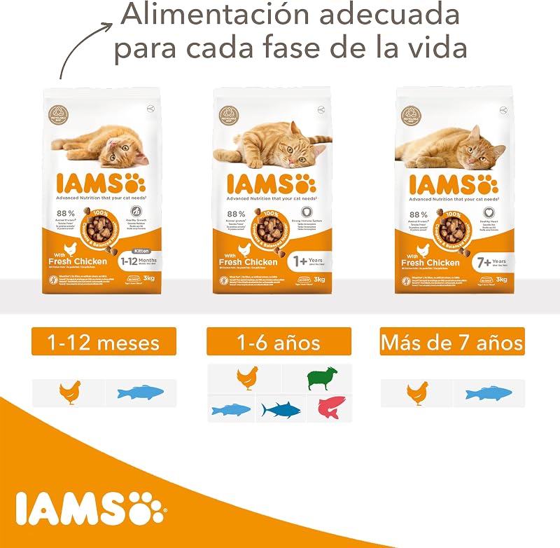Alimento Seco para Gatitos de 1-12 Meses, Pescado oceánico, 10 kg