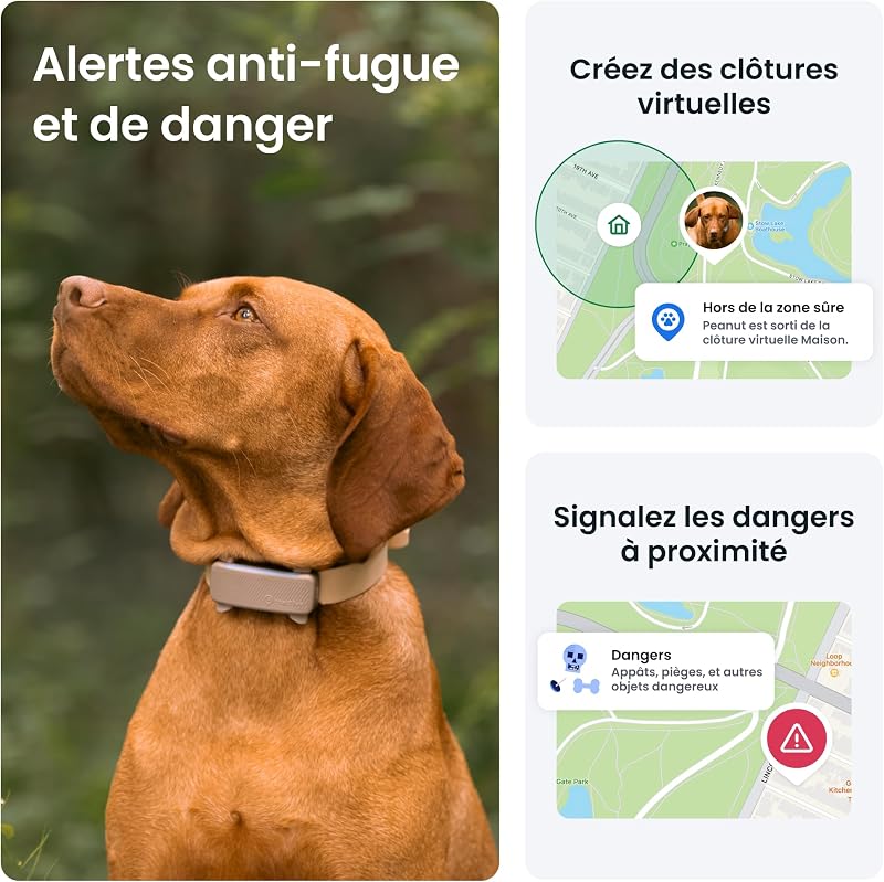 – Collier GPS pour Chien Connecté | Édition 2025 | Localisation GPS en Direct | Alertes Anti-Fugue et de Santé | Moniteur de Signes Vitaux | Leader du Marché (Marron)
