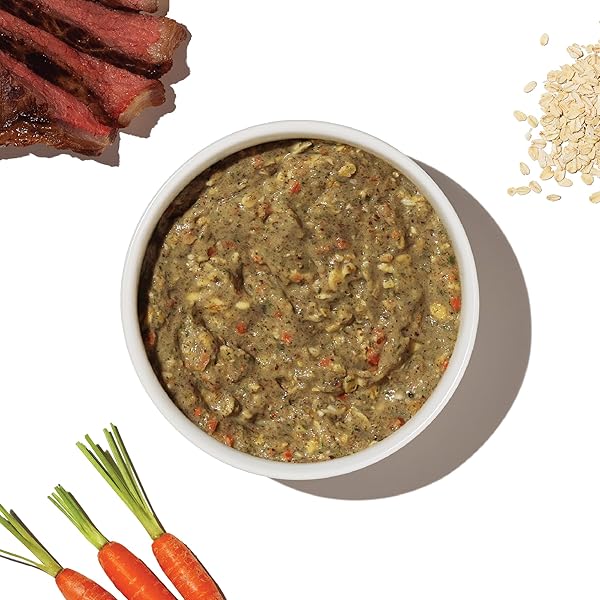 THE HONEST KITCHEN HUMAN GRADE WHOLEMADE™ DEHYDRATED WHOLE GRAIN BEEF & OAT DOG FOOD, 2 LB BAG