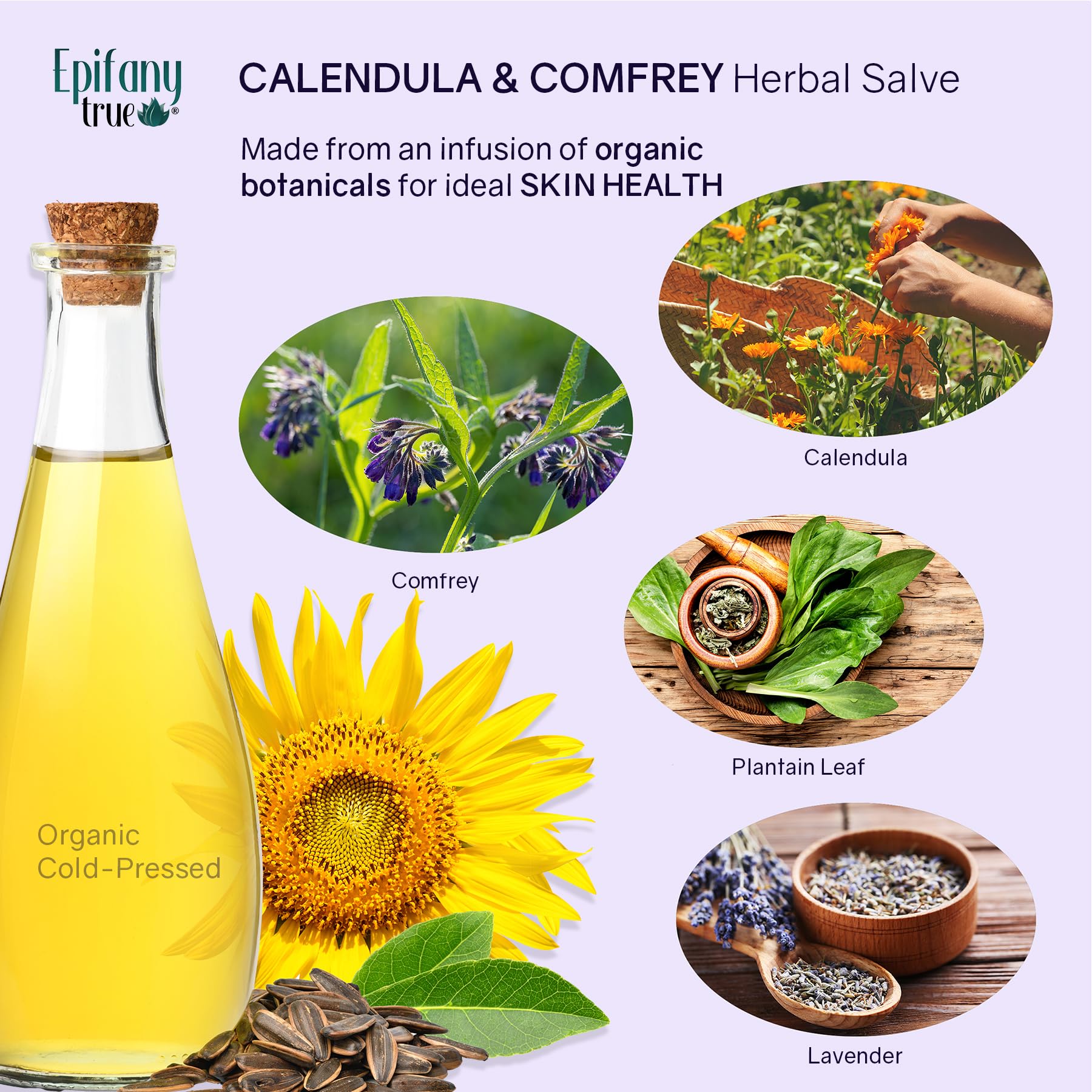 All-Purpose Calendula & Comfrey Herbal Salve 2oz, Fragrance Free, Natural Herbal Ointment, Dry Skin Soothing Balm, Itch Relief, Organic Ingredients