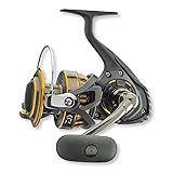 Daiwa BG8000 BG Saltwater Spinning