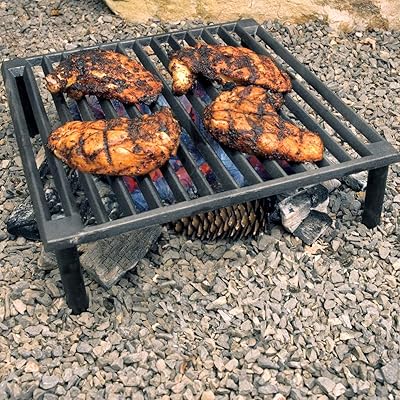 Buy Steven Raichlen Best Of Barbecue Cast Iron X Steven Raichlen Sr8024 Best Of Barbecue Tuscan Bbq Grill 14 Online In Kazakhstan B0007zgul6