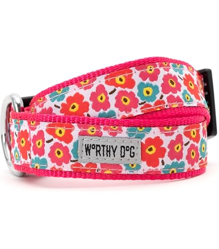 The Worthy Dog Foxy Hunde-Leine – 5 Fuß (ca. 152 Cm) Blau Mit Fuchs-Band – Nylon Mit Metall-D-Ring