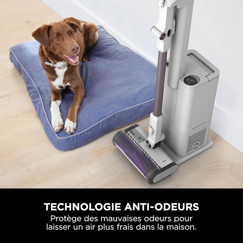 Aspirateur sans Fil Puissant 60 Min, Detect Clean&Empty IW3613EUT