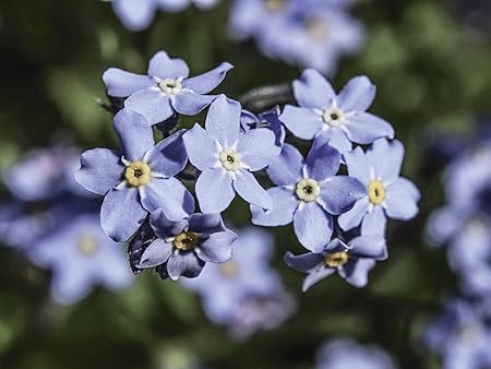 Artland Reale Di Vetro Murale Deco Glass Christine Noehmeier