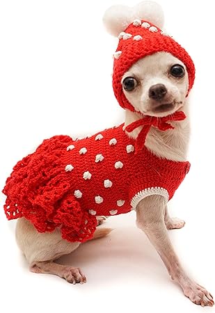 pom pom chihuahua