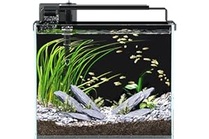 RED TAIL FISH 3 Gallon Fish Tank Aquarium Kit with Filter, LED Light with Timer, Siphon Vacuum Cleaner, Lid, Self-Cleaning Glass Rimless Betta Tank
