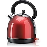 Bollitore acqua elettrico