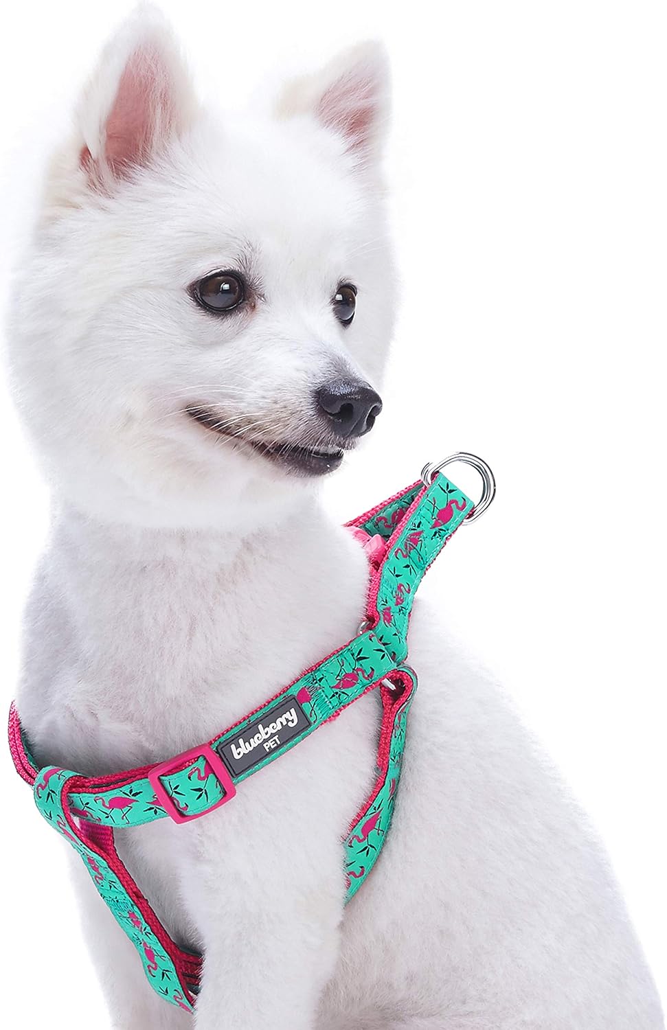 Blueberry Pet Stepin Pink Flamingo on Light Emerald Dog Harness, Chest
