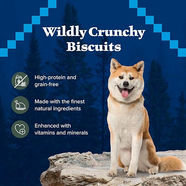 BLUE BUFFALO WILDERNESS TRAIL TREATS HIGH PROTEIN GRAIN FREE DOG BISCUITS CRUNCHY DOG TREATS, DUCK RECIPE, 10-OZ BAG