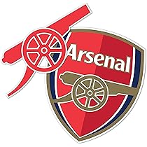 Amazon.com: Desert Cactus Arsenal FC Sticker Gunners Decal