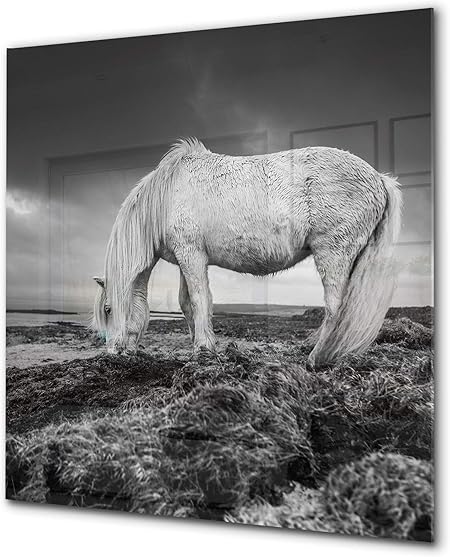 Amazon Com Toughened Glass Backsplash Art Glass Design Printed