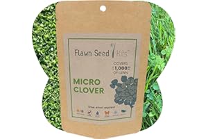 FLAWN SEED KITS Organic Coated Micro Clover Pouches (1,000 sqft) Flawn Seed Flowering Lawn Seed - Kid, Pet, Pollinator & Eco-Friendly Grass Alternative - Easy to Use & Cost Effective