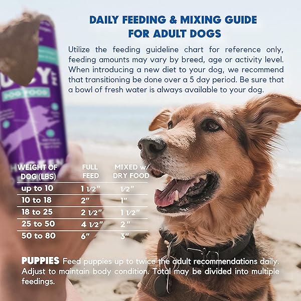 LUCY PET PRODUCTS CHICKEN FORMULA DOG FOOD ROLL 2.5 LB, MEATY, SEMI-MOIST DOG FOOD (100600074), (PACK OF 1)