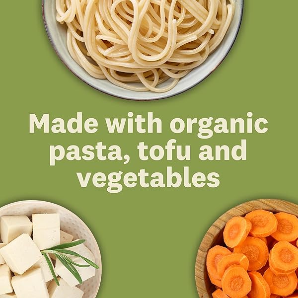 AMY’S SOUP, VEGAN, NO CHICKEN NOODLE SOUP, MADE WITH ORGANIC VEGETABLES, 14.1 OUNCE