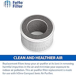 Fette Filter- Air Purifier Filter Compatible with