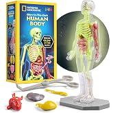 National Geographic Human Body Model for Kids 32-Piece Anatomy Set | Glow-in-the-Dark Bones, Organs &amp; Muscles, Forceps and ID Chart, Anatomy and Physiology Learning, STEM Toy, Birthday Gift