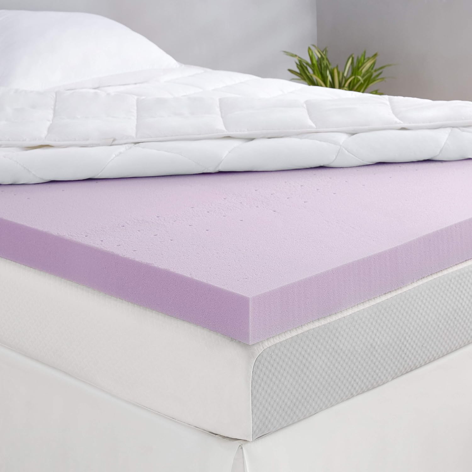 Amazonbasics Memory Foam Mattress at Peggy Garcia blog