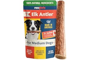 REXIPETS 100% Natural - Elk Antlers for Dogs - Naturally Shed in USA - Dog Antler Chews for Medium Breeds - Natural, Long-Lasting Treats for Aggressive Chewers - Dog Chews - No Smell & No Mess - Medium