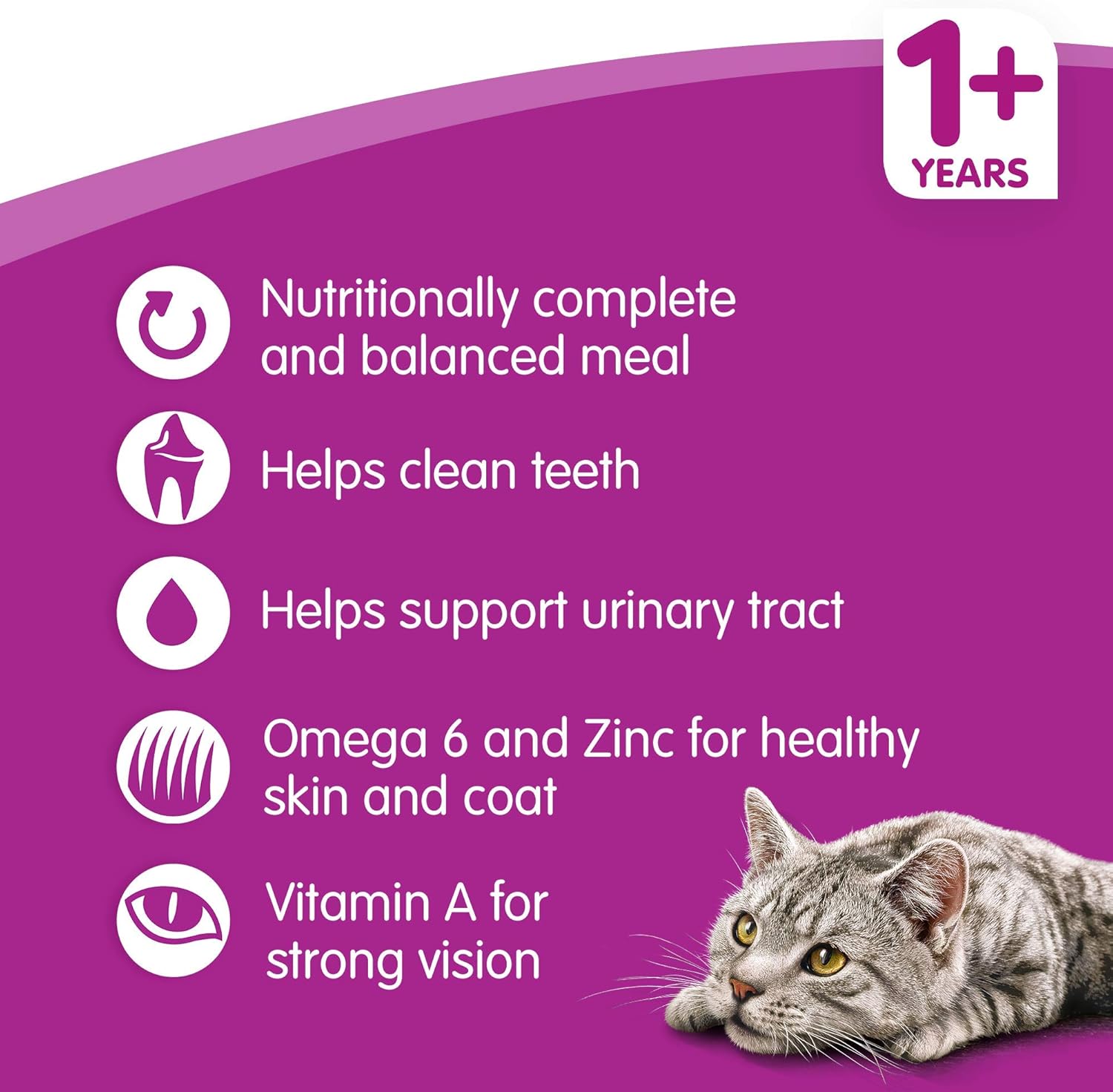Whiskas 1+ - Dry Cat Food - for Adult Cats - with Salmon - 6 x 1.9 kg, 1.9 kg (Pack of 6) - Image 5