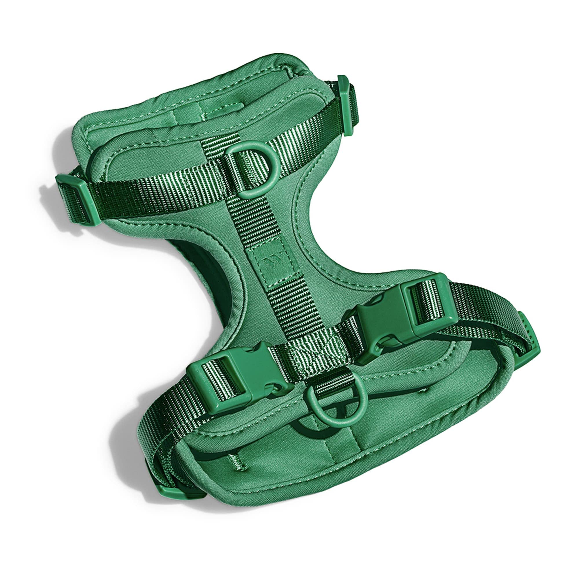 Wild One Harness 2.0 - Medium - Spruce