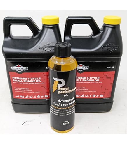 2PK Genuine Briggs & Stratton 100074 5W-30 Synthetic Motor Oil – OEM, 2-Pack