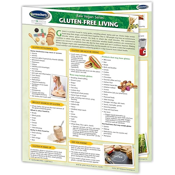 語学・辞書・学習参考書 G Free Diet A Gluten Free Survival 語学・辞書・学習参考書 G Free Diet A Gluten Free Survival