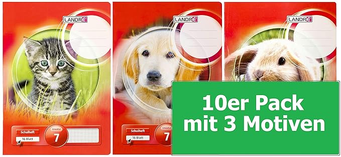 LANDRE 100050073 Schulheft 10er Pack A5 16 Blatt Lineatur 7 - kariert 3 Motive sortiert