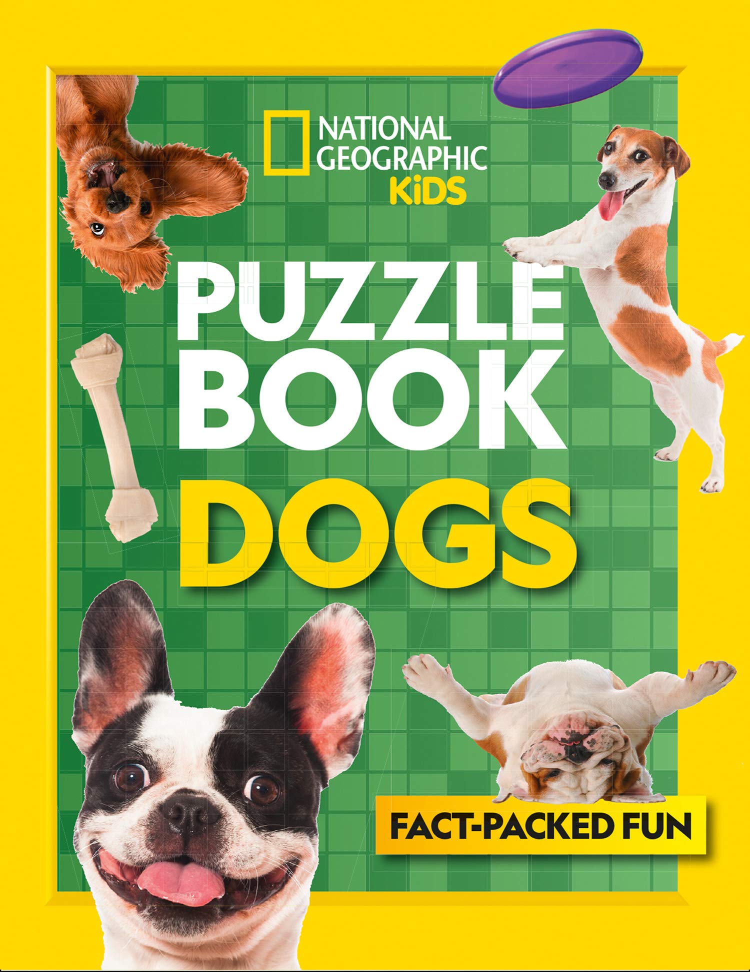puzzles for your dog