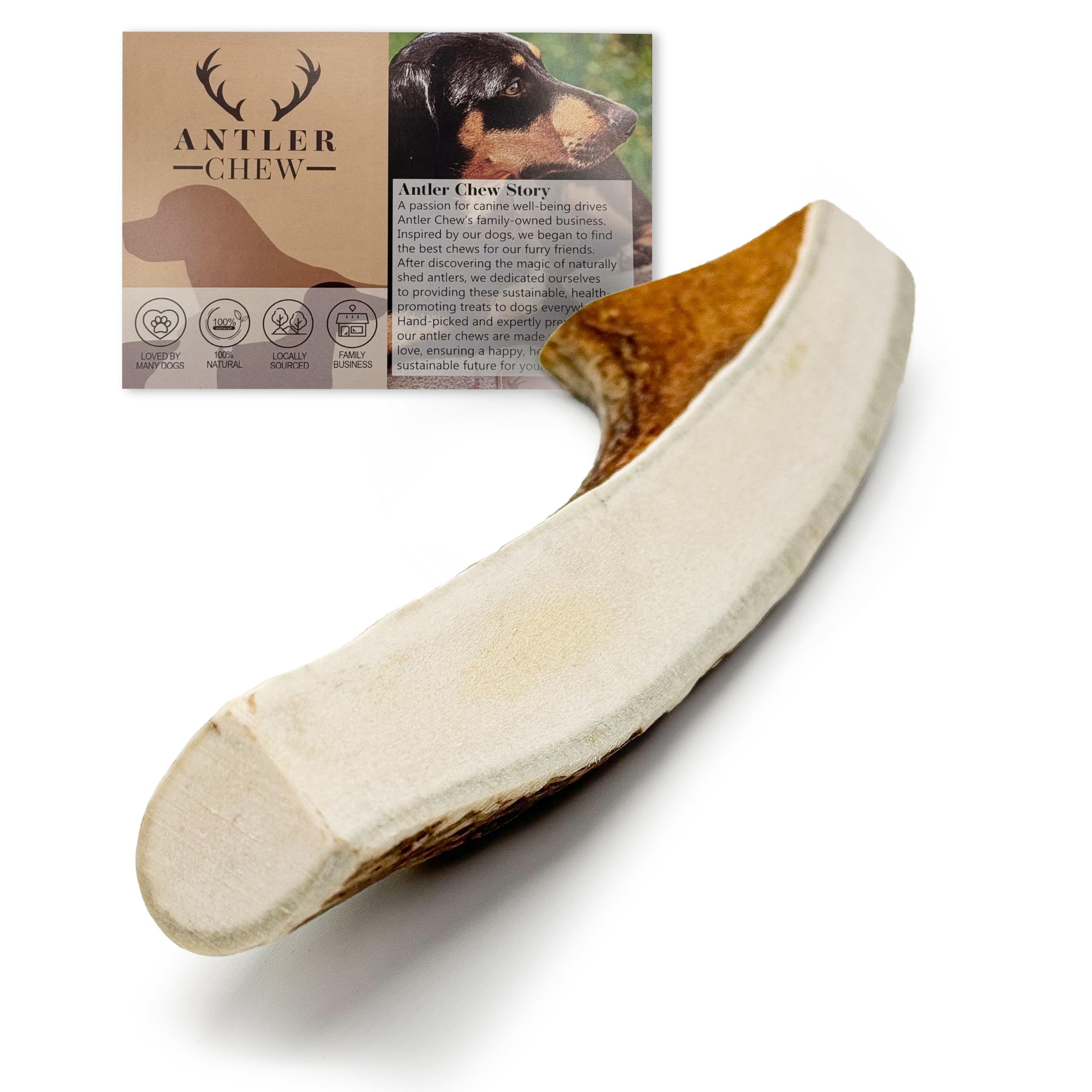 Antler Chew - Large Elk/Moose Split Antler for Dogs (120-180g, 12cm) Indestructible, Long-Lasting Dental Treats, Odorless