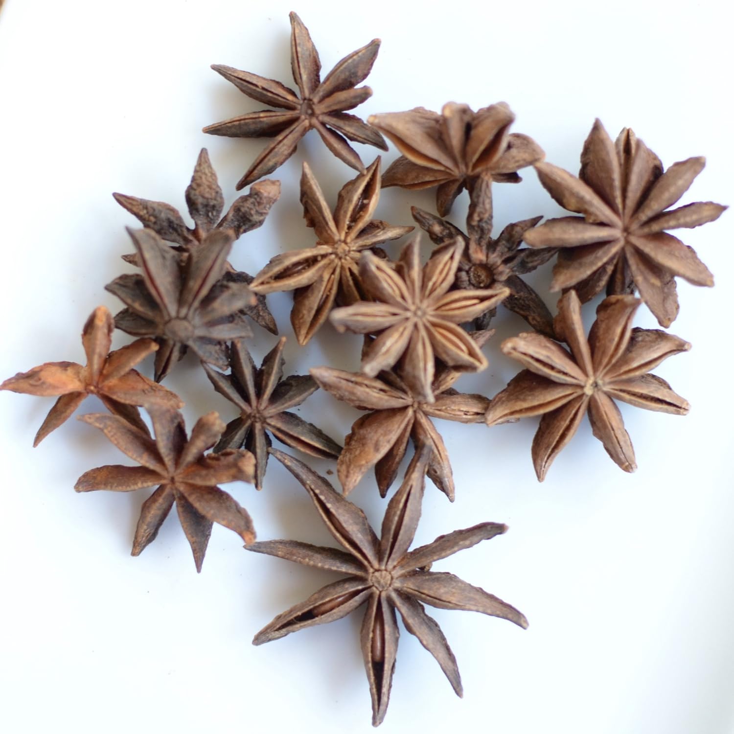 Indian Star Anise Whole by BanyanTree Foods, 8.8 Oz