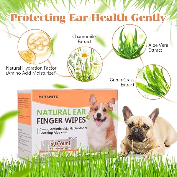 MOTAWEEK DOG EAR WIPES FINGER – PORTABLE AND CONVENIENT 50-PACK FOR GENTLE CLEANING & INFECTION TREATMENT OF DOGS’ & CATS’ EARS, EYES, AND PETS, FRESH AND COMFORTABLE EXPERIENCE