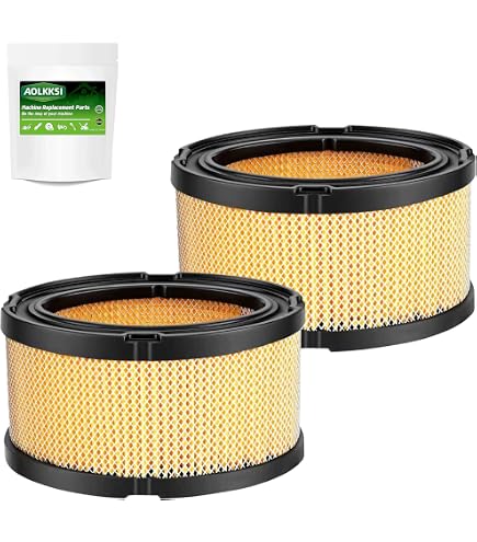 Amazon.com : AOLKKSI 33268 Air Filter for Tecumseh 33268 33263