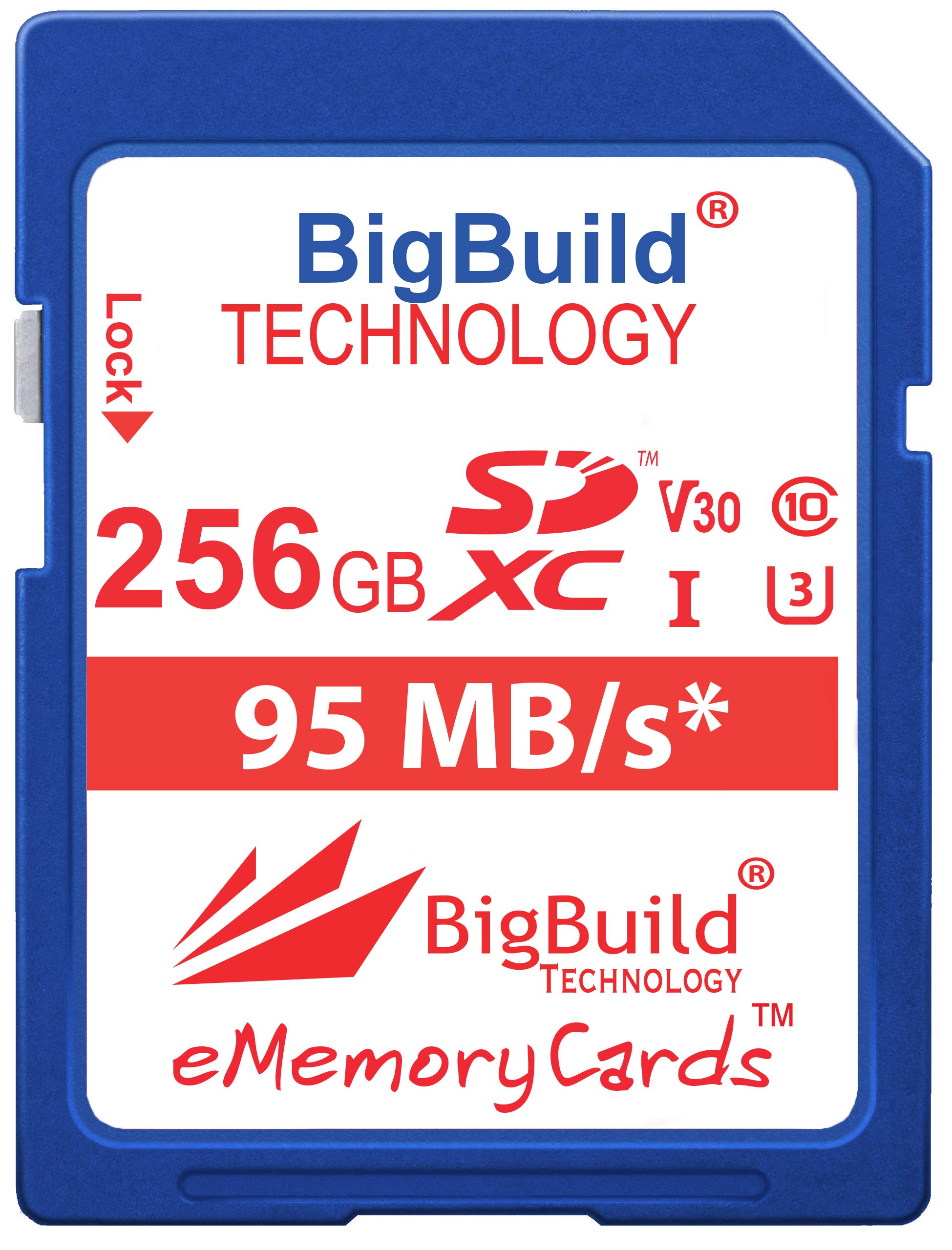 eMemoryCards 256GB Ultra Fast U3 SDXC 95MB/s Memory Card Compatible with Sony Cyber shot DSC RX100 I, RX100 IV, RX100 V, RX100 VI, RX100 VII Camera