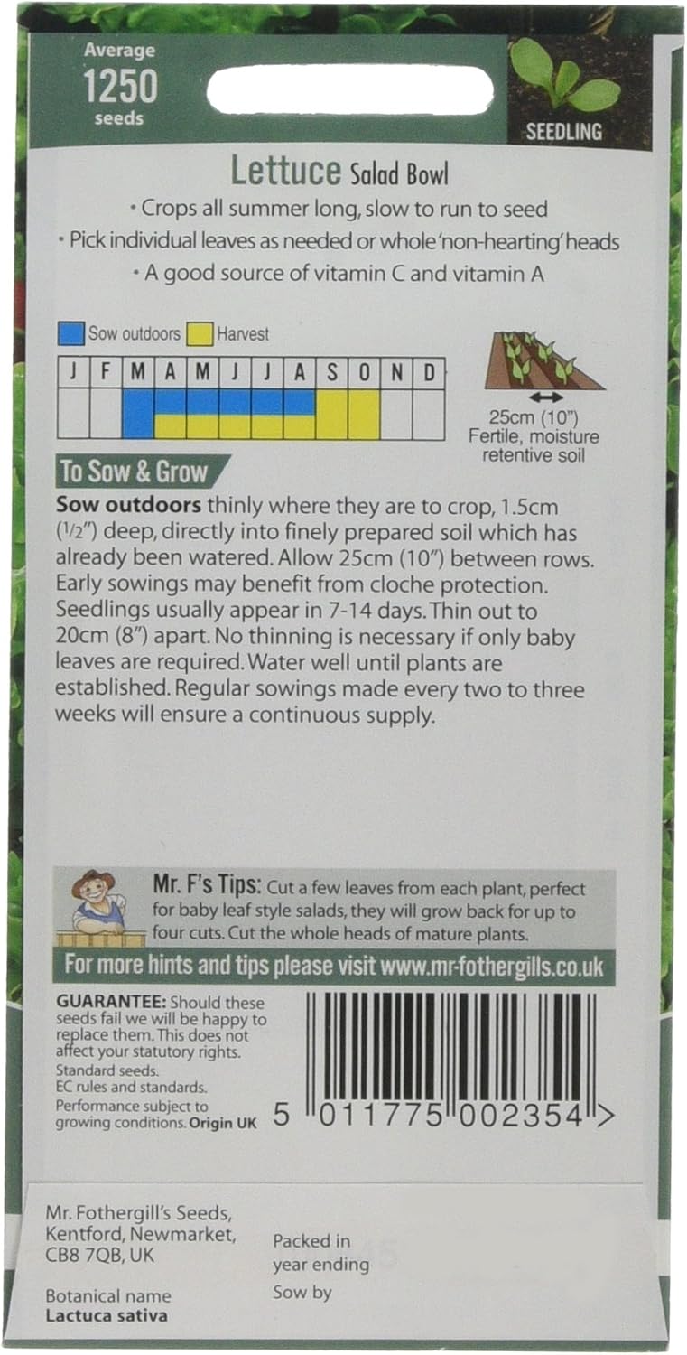 Mr Fothergill's 10254 Vegetable Seeds, Lettuce Salad Bowl, Green - Image 3