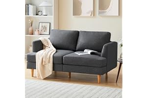 Busaurus Loveseat Sofa 56", Mid Century Love Seat for Living Room, Upholstered 2-Seater Couch for Small Spaces, Bedroom, Apartment, Dark Grey