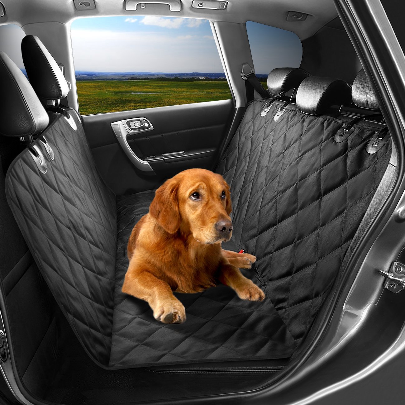 Holiday Gifts For SelfImprovement Best Oil Supplements For Dogs And Cats