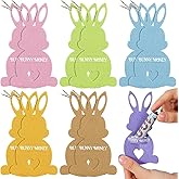 Gilprop 12 Pcs Felt Easter Bunny Money Holders with String for Cash Gifts, Cute Easter Basket Stuffers, Colorful Bunny Gift MoneyHolder, Basket Tag Decorations & Gifts Ideas