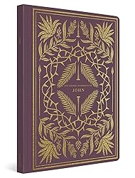 ESV Illuminated Scripture Journal: John