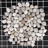 Hisredsun 3.96 lb White Polished Decorative Stones 2-3.5 cm Pebbles view 2