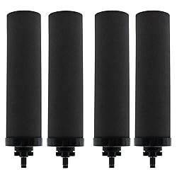 Renami 1 Micron Water Filter Replacement for