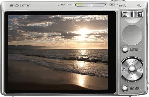 Sony Cybershot DSC-T100 8MP Digital Camera with 5x Optical Zoom