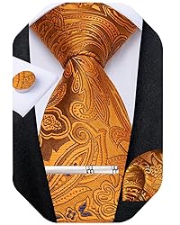 DiBanGu Silk Paisley Ties for Men Woven Necktie and