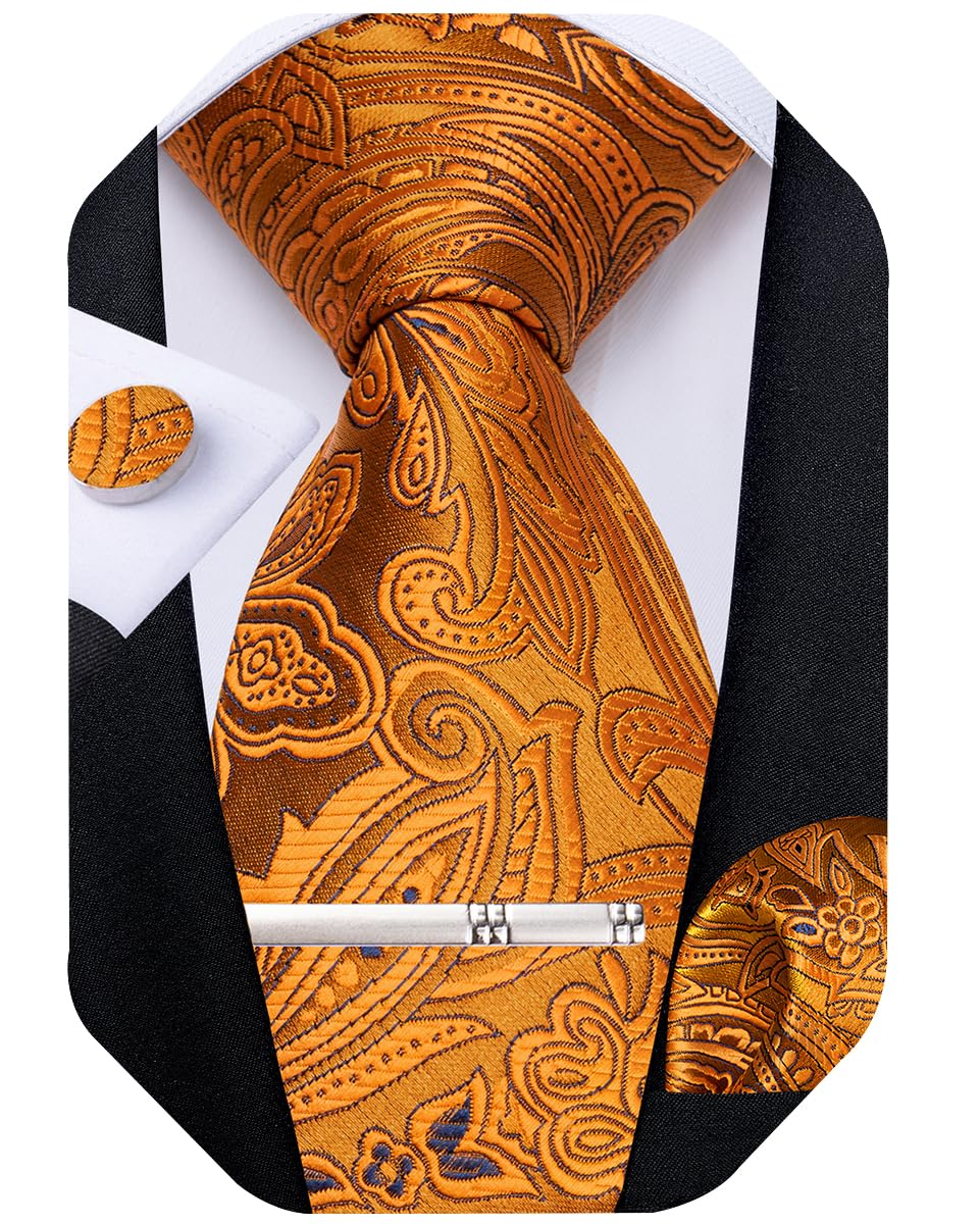 DiBanGu Silk Paisley Ties for Men Woven Necktie and