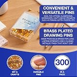 D.A.Y. Republic 300 Brass Metal Drawing Pins Thumb Tacks for Notice Boards Map view 3
