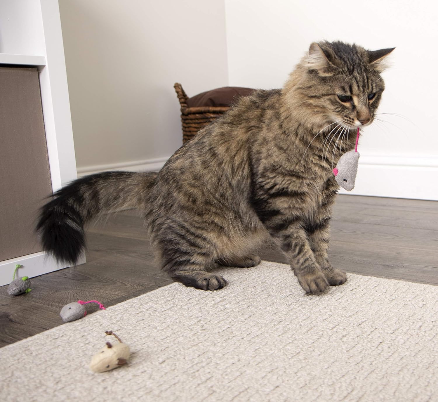 SmartyKat Skitter Critters Cat Toy Catnip Mice, 3/pkg : Pet Mice And Animal Toys : Pet Supplies