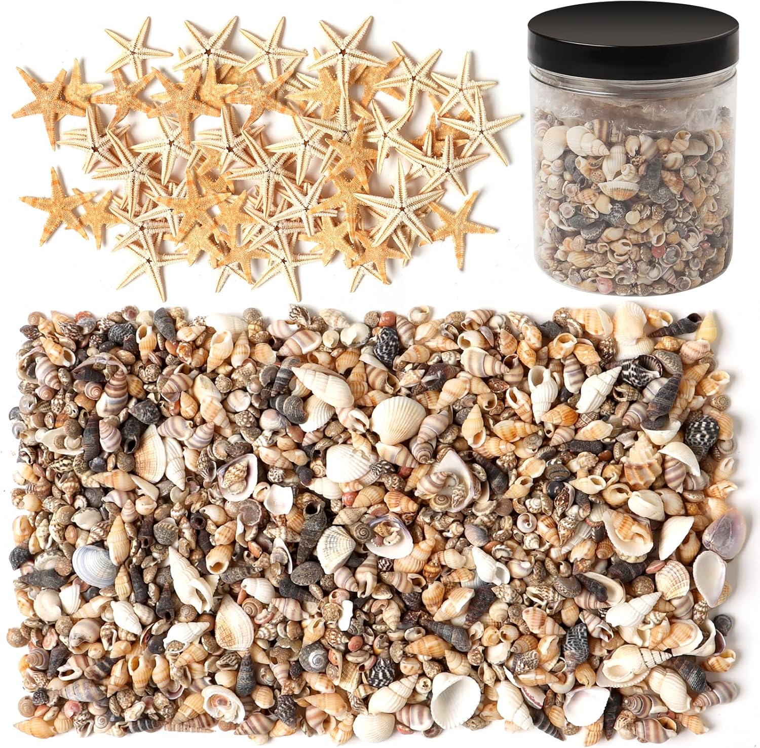 Vase Fillers - Qfeley 1000+ Pieces Tiny Sea Shells & Starfish for DIY Crafts and Vase Filler Small Natural Shell Mix for Home Decorations, Wedding Decor, Candle Making and Beach Theme Parties