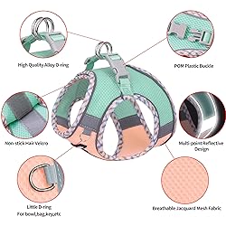 AIITLE Dog Harness and Leash Set