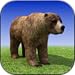 Bear Simulator Madness 3D