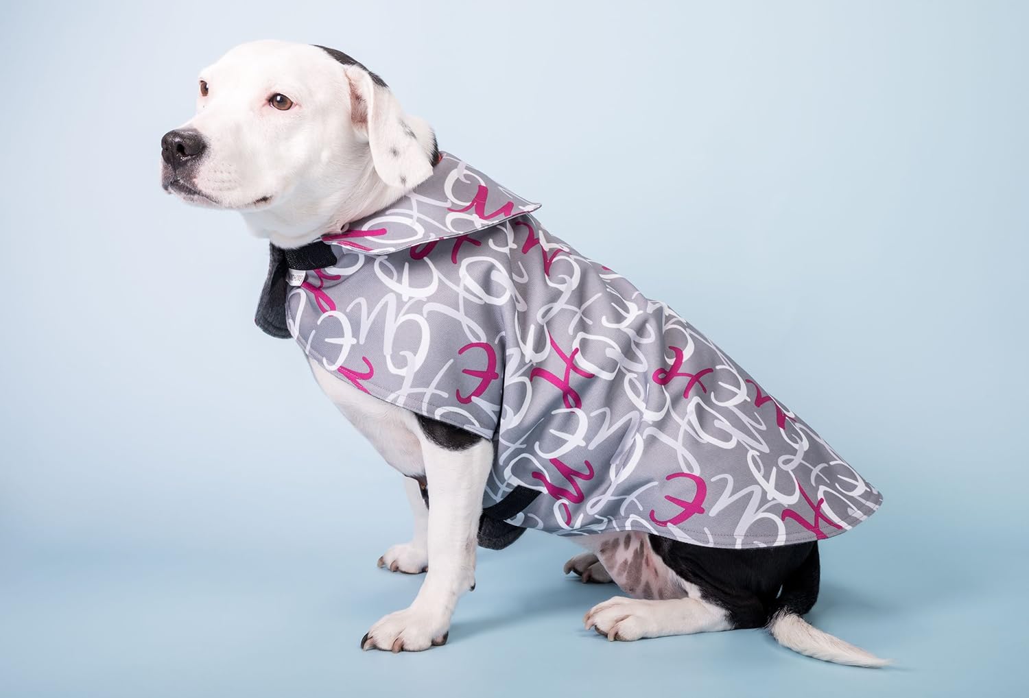Staffy dog coats uk Clearance